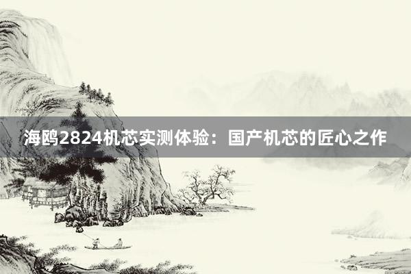 海鸥2824机芯实测体验：国产机芯的匠心之作